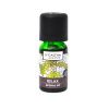 2025 relax oil